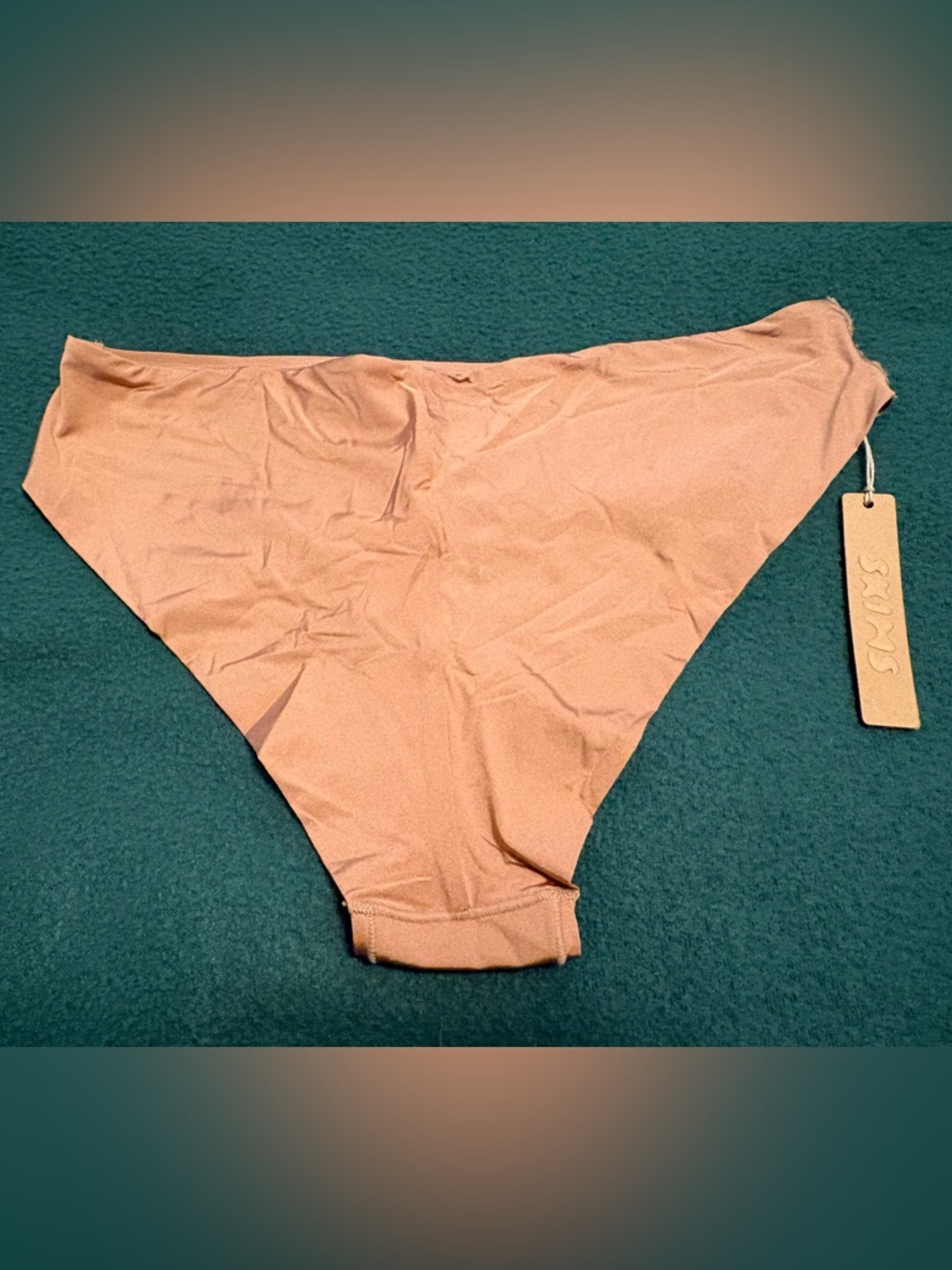 SKIMS Nude Bikini Panty - Picture 5 of 11